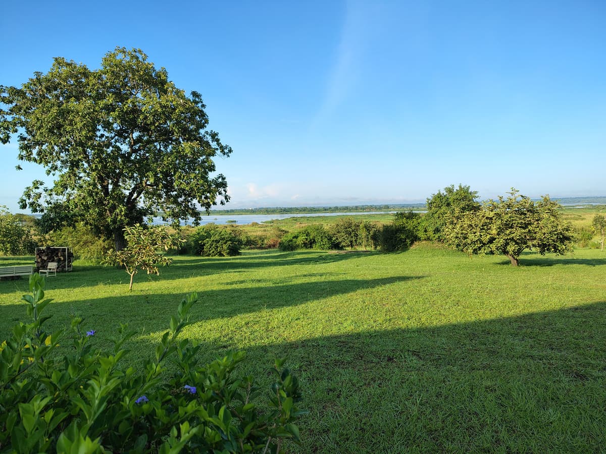 Our garden